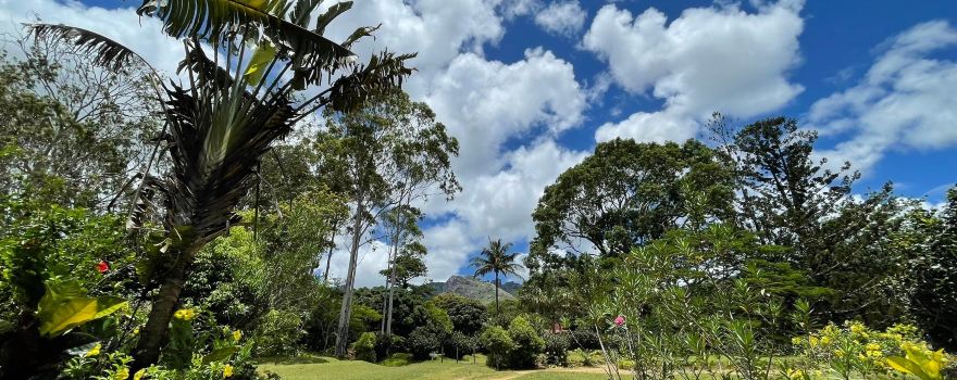 Nahampoana Reserve
