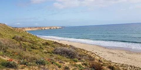 馬塞林海灘
