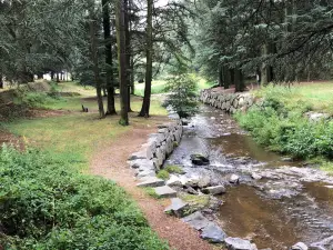 Barrage du Ternay