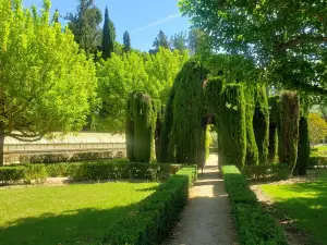 Museo de Faluas Reales