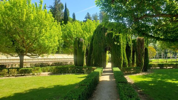 Musée des felouques royales
