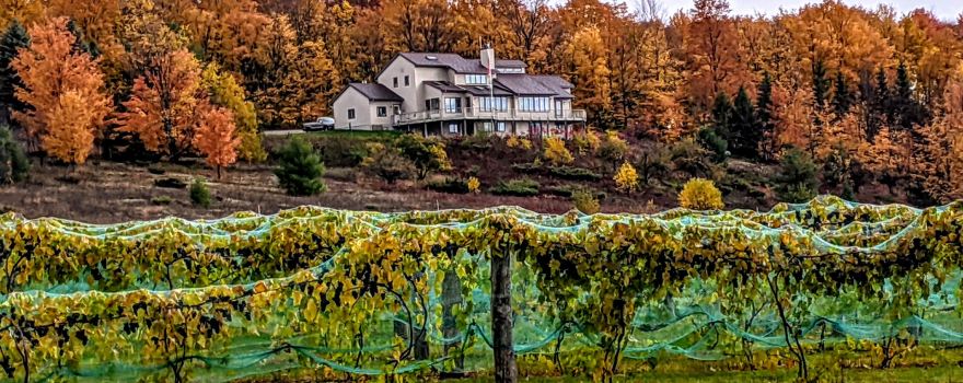 Crooked Vine Vineyard & Winery