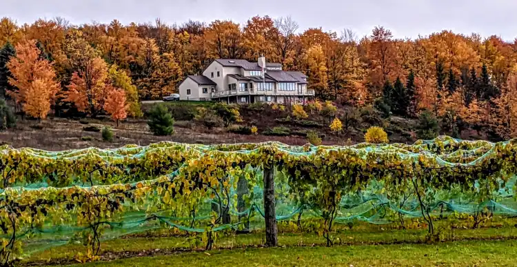 Hotels in Littlefield Township