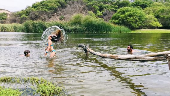 Bosque El Canoncillo