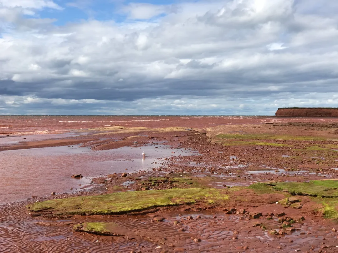 3_Argyle Shore Provincial Park