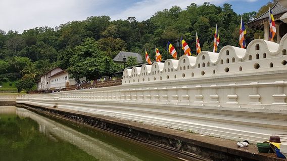 Museum of the Tusker Rajah