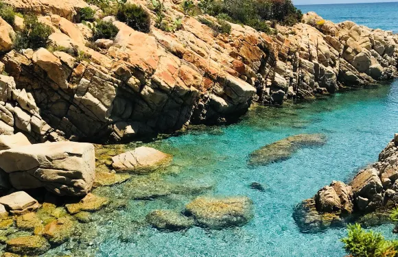 卡拉·利貝羅託