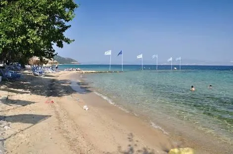 2_Tarsanas