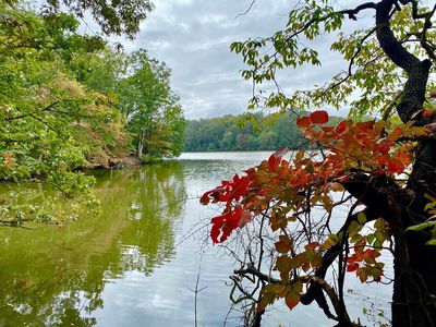 Beverly Triton Nature Park
