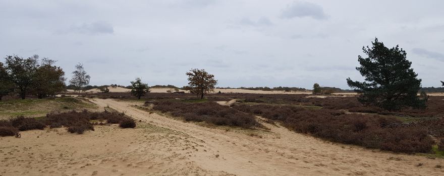 Natuurgebied Langstraat