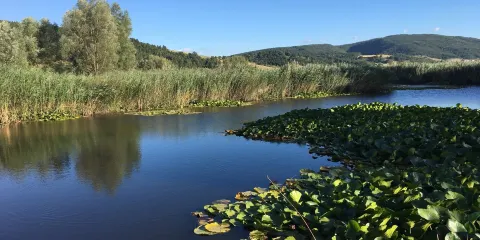 Parco Regionale di Colfiorito