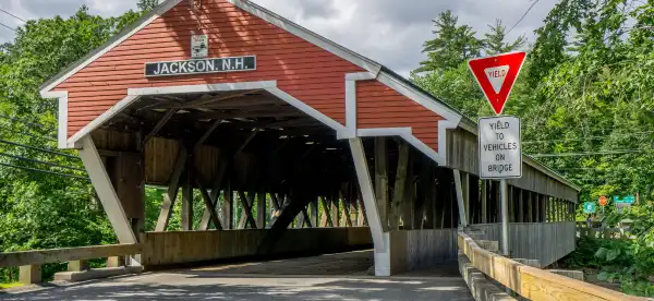 Hotels in Jackson