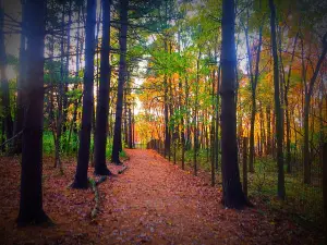 Carolyn Ludwig Mugrage Park