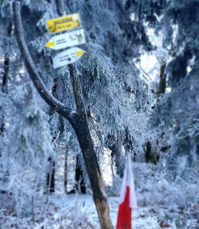 Mieroszów