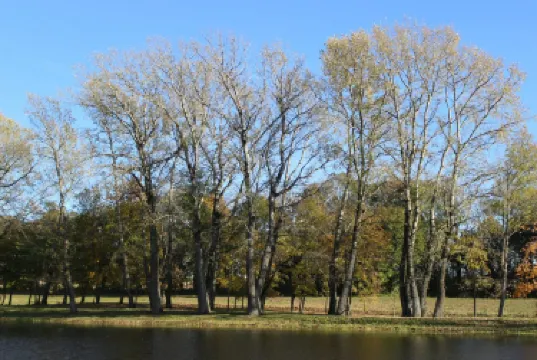 Grodna District