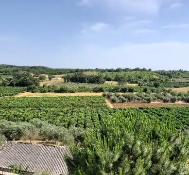  Ferienwohnungen in Ulcinj Municipality, Montenegro