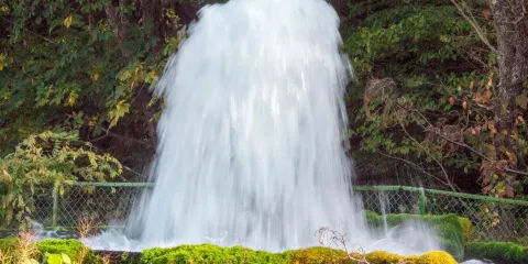 金沢清水湧水群