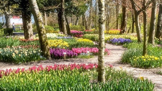 Poldertuin Anna Paulowna, Klein Keukenhof
