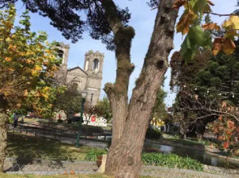 João Ribeiro Square