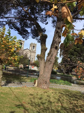 1_João Ribeiro Square