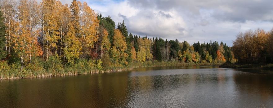 Semiluzhensky Cossack fort