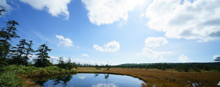 Bifuka Matsuyama Wetlands