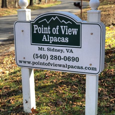 Point of View Alpacas