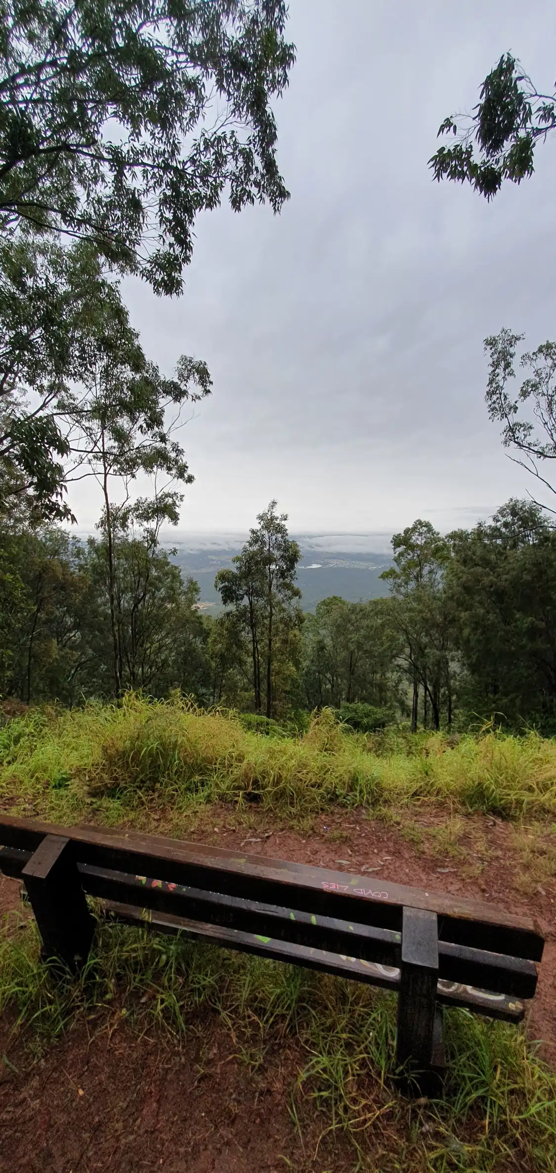 Hotels near Beacon Lookout