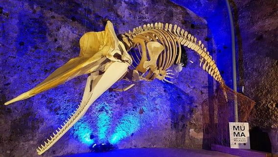 MuMa - Museo del Mare di Milazzo