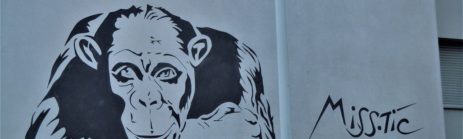 OrlyShared car tours