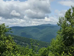 Big Bend Campground