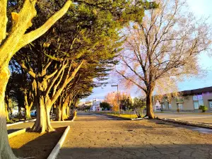Plaza 20 de Noviembre