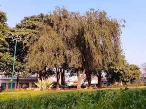 Vijaypur Park