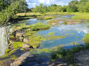 EcoParque "Cachoeira da Bica"
