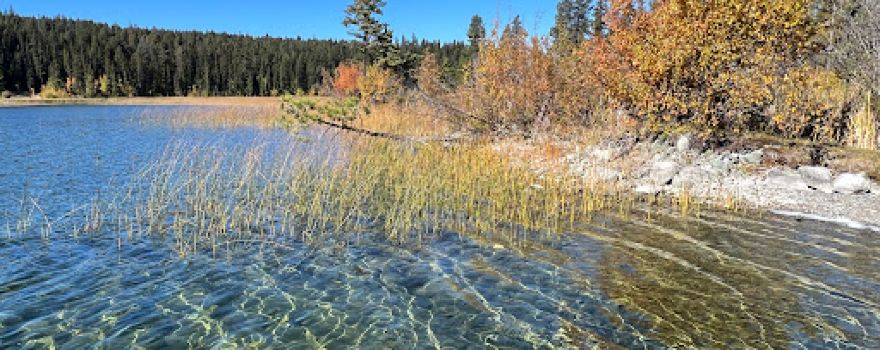 Peter Hope Lake North Recreation Site