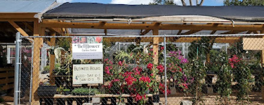 Bellflower Garden Center