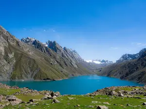 Kausar nag