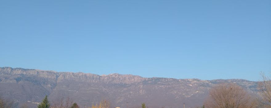 Δενδροχορι Park