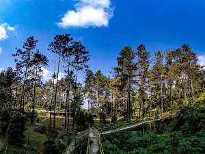 Wisata Bruno