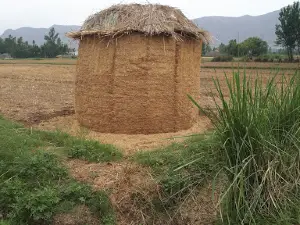 Adina Ismaila Drain