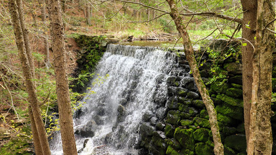 Cooks Canyon Lookout Point