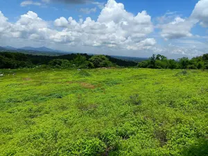 Phu Khao Hin Pakarang - Coral Mountain