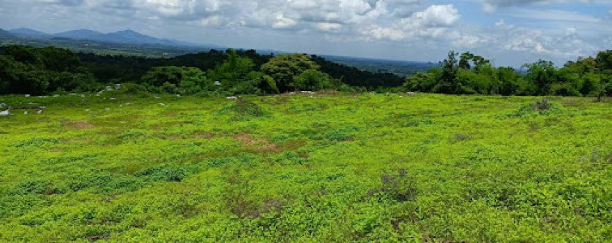 Phu Khao Hin Pakarang - Coral Mountain