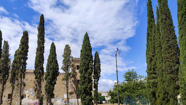 Piazza Della Magione