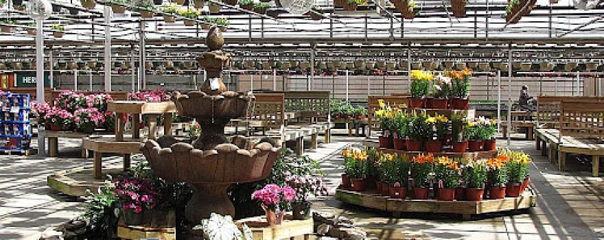Maria Gardens Center