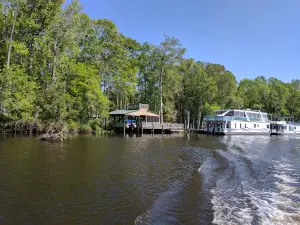 Dunns Creek Wildlife Management Area
