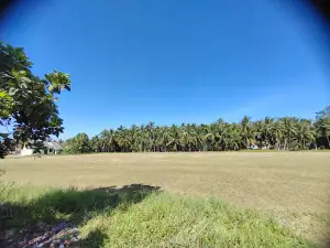 Lapangan Sepakbola Purwosari