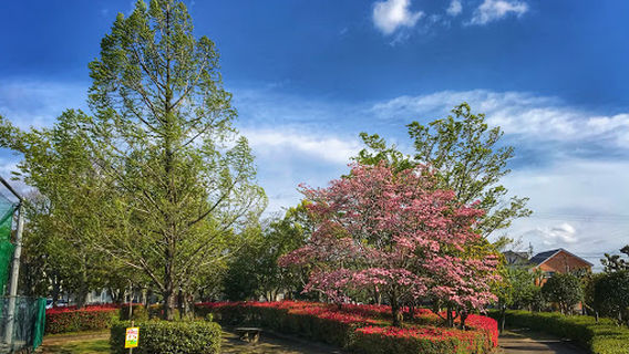 Miyoshi