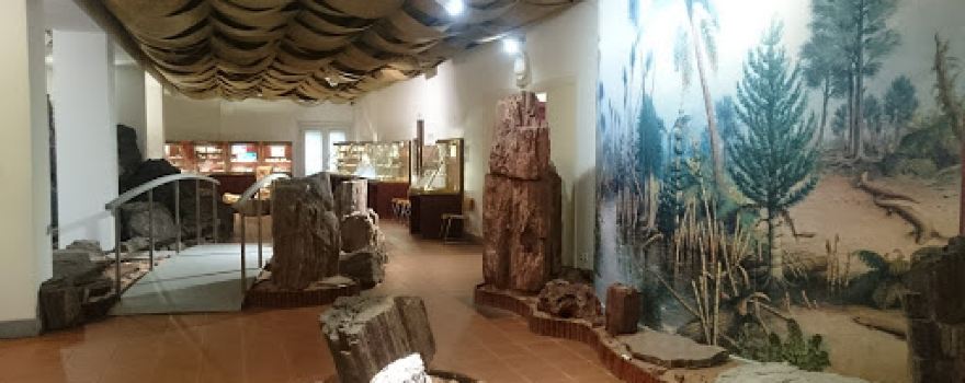 Nová Paka City Museum