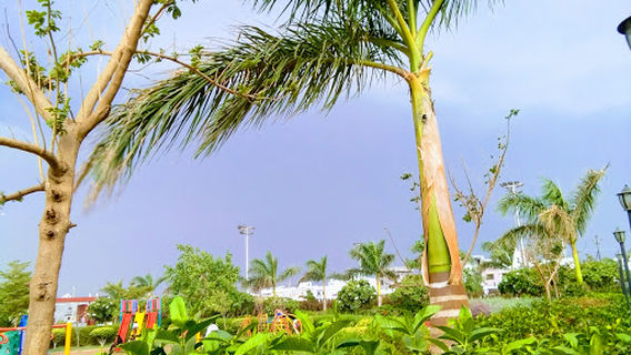 CB Garden & CB Water park